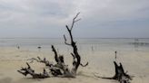 La pequeña isla de Indonesia que se enfrenta a Holcim para no hundirse