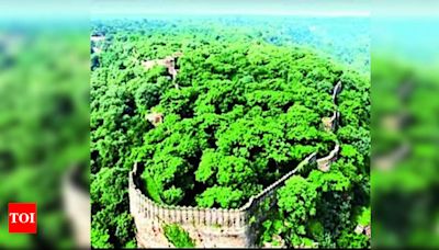 1L trees to face axe for pvt power project in Rajasthan's Baran district | Jaipur News - Times of India