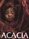 Acacia (film)