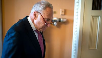 Carl Bernstein: Schumer frustrated with Biden ‘situation’