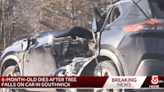 Baby girl dies after tree falls and crushes moving SUV, Massachusetts officials say