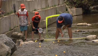 Rubber Duck Regatta Raises Money for Huskies Baseball Team