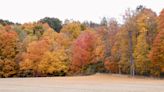 Colors bountiful in tree canopies across North Central Ohio