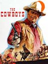 Die Cowboys