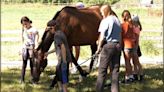 Summer for program has kids in Foothills County learning from horses