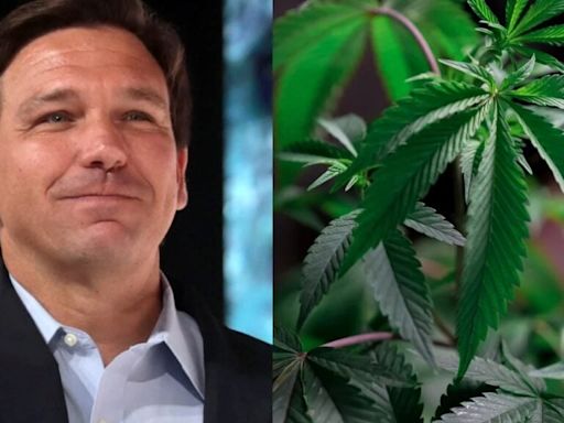 Ron DeSantis And GOP Stalwart Feud Over Cannabis Legalization, Trump; Florida's Top Cops Also Weigh In