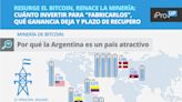 Resurge el Bitcoin, renace la minería: cuánto invertir para "fabricarlos", qué ganancia deja y plazo de recupero