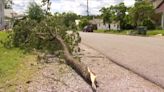 Storm cleanup continues in Salem