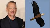 Producing Team Behind Tom Hanks Wildlife Docuseries ‘The Americas’ Tease ‘The Biggest Trees, Deepest Canyons and A-List Animals’