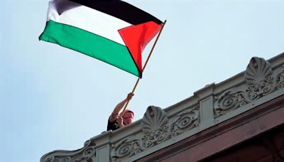 Ein Demonstrant schwenkt die palästinensische Flagge über dem Campus der Columbia University in New YorkFoto: AP/Mary Altaffer