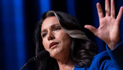 Tulsi Gabbard Warns Trump Against Underestimating Kamala Harris' Debate Skills