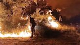Portugal junta-se ao dispositivo de combate ao forte incêndio em Zamora