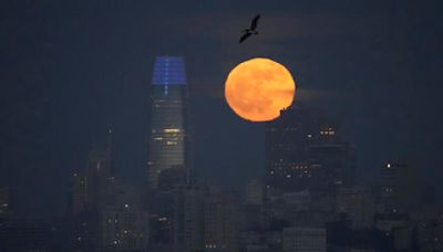 A full 'strawberry moon' will light up the sky Friday night. Here's when to see it