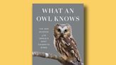 Book excerpt: "What an Owl Knows" by Jennifer Ackerman