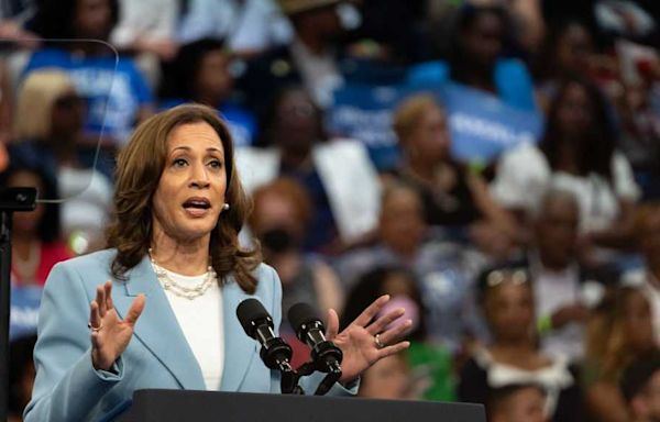 Harris calls Trump's false claims about race 'the same old show' of divisiveness and disrespect