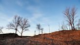 Texas Panhandle wildfires: What you need to know about the blazes, damage and recovery