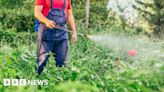 Rotherham Council urged to ban weedkillers to protect environment