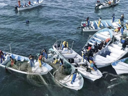 Qué fue del Cártel del Mar, el grupo de traficantes de totoaba cuyo líder fue exonerado por el Poder Judicial en un ‘sabadazo’