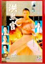 The Kung Fu Master (TV series)