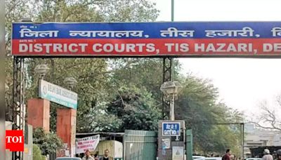 'AI takes legal action': Delhi gets first 'pilot hybrid court'; here's how it will work | Delhi News - Times of India