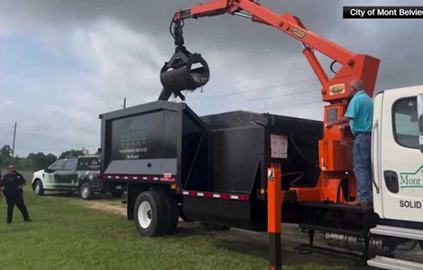 VIDEO: Public works, animal control crews in a Texas town use a grapple trash truck to move a massive alligator