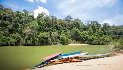 Malasia: el destino tropical que cautiva por su naturaleza y más allá de sus famosas torres mellizas