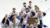 Olentangy Liberty hockey team cruises to district title, first state berth since 2017