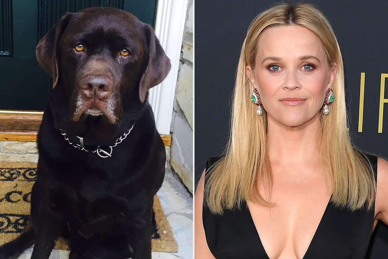 Reese Witherspoon Mourns Death of Her Beloved Dog Hank: ‘We Will Miss Your Sweet Spirit’