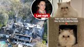 Cara Delevingne’s $7M LA home gutted by massive fire as she posts picture of her cats: ‘They are alive!’