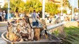 Pedregalejo: jábegas, espetos y chiringuitos en el barrio de Málaga que no olvida sus raíces