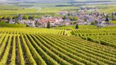 How to Find the Best Wines From Burgundy