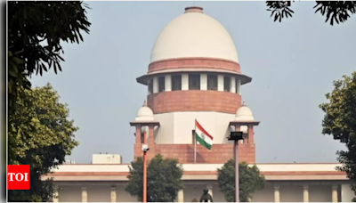 Supreme Court to revisit same-sex marriage ruling on July 10 | India News - Times of India