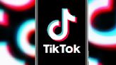 TikTok taps former Warner Bros counsel as US ban looms