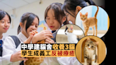 愛心中學領養三小貓 貓咪化身Dr. Cat 讓師生學習尊重生命