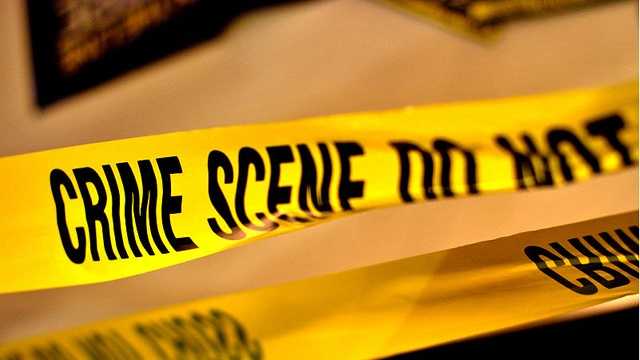 Investigation opened after skeletal remains have been found in the Upstate