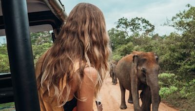 I went on a 2-week safari in South Africa's famous Kruger National Park for just $50 a day