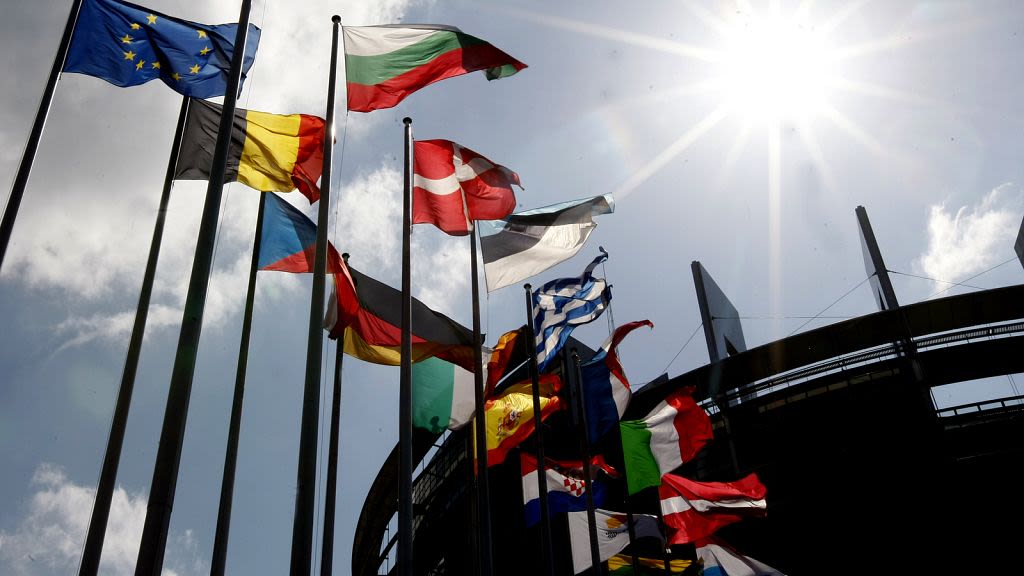 European elections: Your essential country-by-country guide to the vote