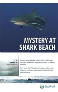 Mystery at Shark Beach