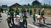 Espectáculo del campo en Llanera: el desfile de San Isidro llena las calles de la mejor tradición ganadera