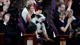 Matt Damon's Walk of Fame star peed on by dog Messi, picking a side in Jimmy Kimmel feud