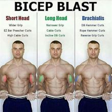 BICEPS BLAST | Short Head | Long Head | Brachialis | Biceps workout ...