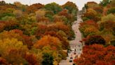 Where to see incredible fall colors in the Kansas City area 2023