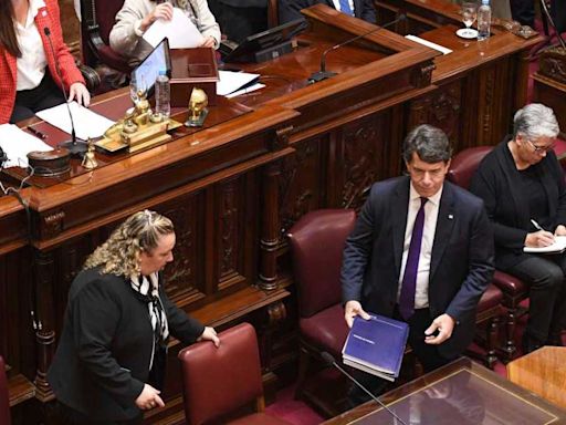 Nicolás Posse ante el Senado, en vivo: «Esquema de esclavitud moderna», la crítica del ministro a los planes sociales - Diario Río Negro