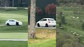 Car drives onto MetroWest country club golf course; driver sought