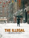 The Illegal Immigrant