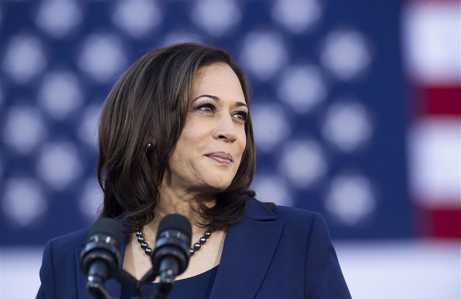 6 things Kamala Harris has shared about her heritage