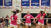 Leading the pack: A look at the leaders in Lenawee County volleyball