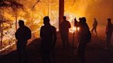 Combatientes de incendios forestales, dedicar la vida a salvar la selva Los Chimalpas en Oaxaca