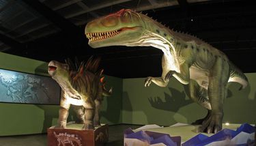 Dinosaurios eran menos listos de lo que se pensaba según expertos