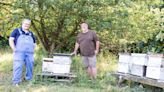 Aces of Trades: Lewis brothers doing sweet at Bainbridge's Pap’s Hilltop Honey
